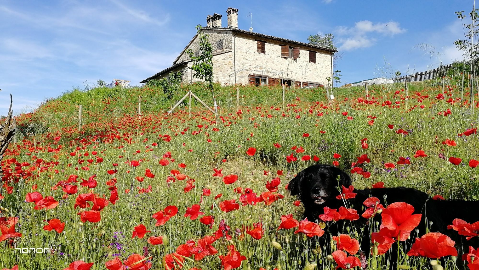 Casale Le Orme Acomodação com café da manhã Todi Exterior foto